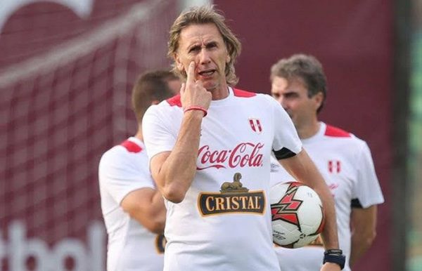 2018 - Camiseta Selección Peruana de Entrenamiento / Concentración Mundial Rusia 2018 - Imagen 2