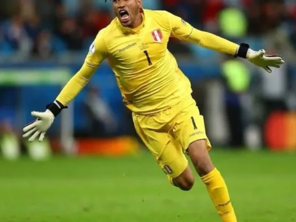 2019 - Camiseta Seleccion Peruana Arquero II Copa America Brasil 2019 - Imagen 8