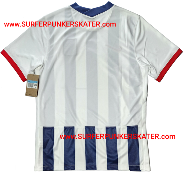 2022 – Camiseta Alianza Lima Bicampeón Nacional Oficial (Sin Sponsors) - Imagen 4